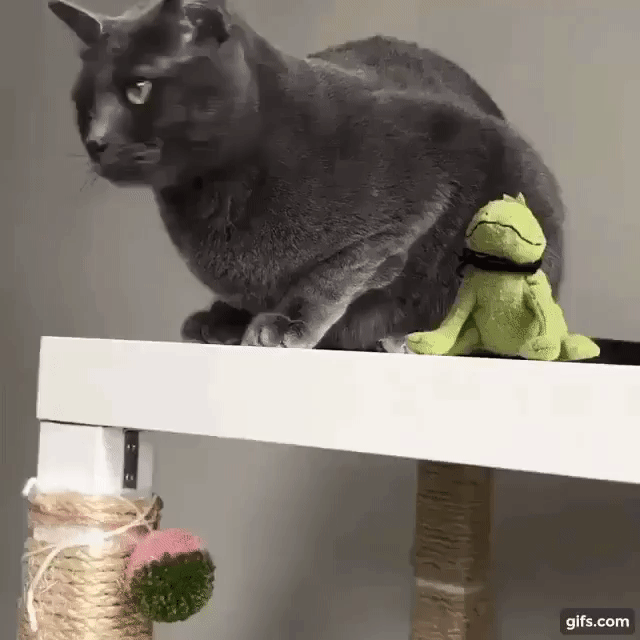димо