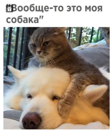 Зообще то это моя
