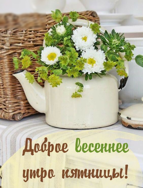 гдаарае вещ утра пятницы__