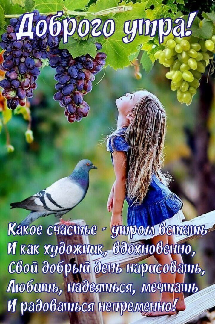 ж Бгрого утра __ хг ЧЁ а ЕЁ 75 Р дц з д 4 у д Сбой дшбръш ещфіацрисдёапш Любишь надетШЁсйй МЁтать