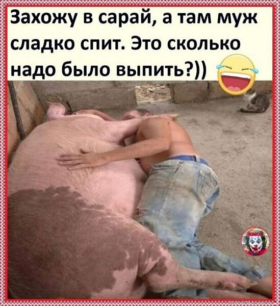 Захожу в сарай а там уж сладко спит Это сколько надо было выпить