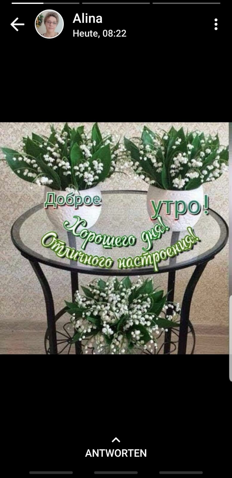 Неисе 0822 Аіпа 6 АМТИЮКТЕМ