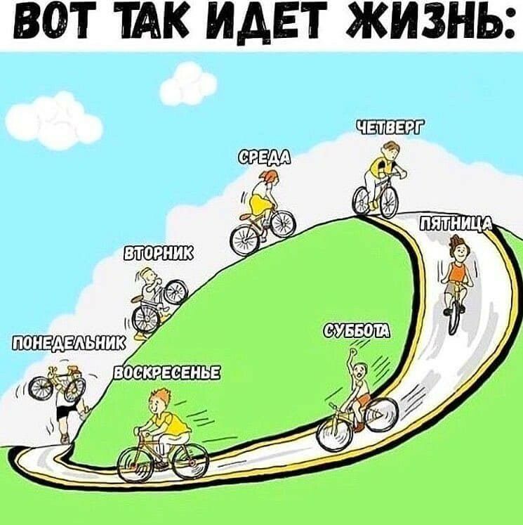 ВОТ ТАК ИДЕТ ЖИЗНЬ