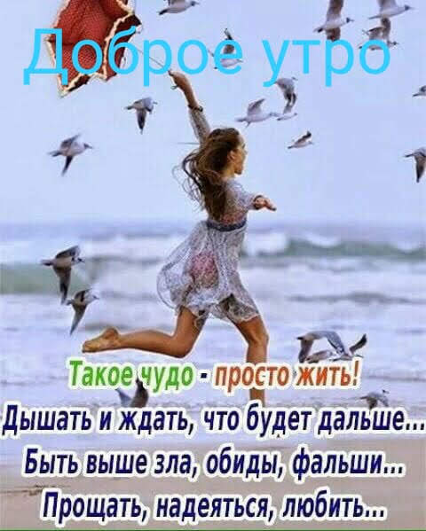 и Такожудо продто жить _ дышать и ждать что будет дальше Быть выше зла обиды фальши Прощать надеяться любить