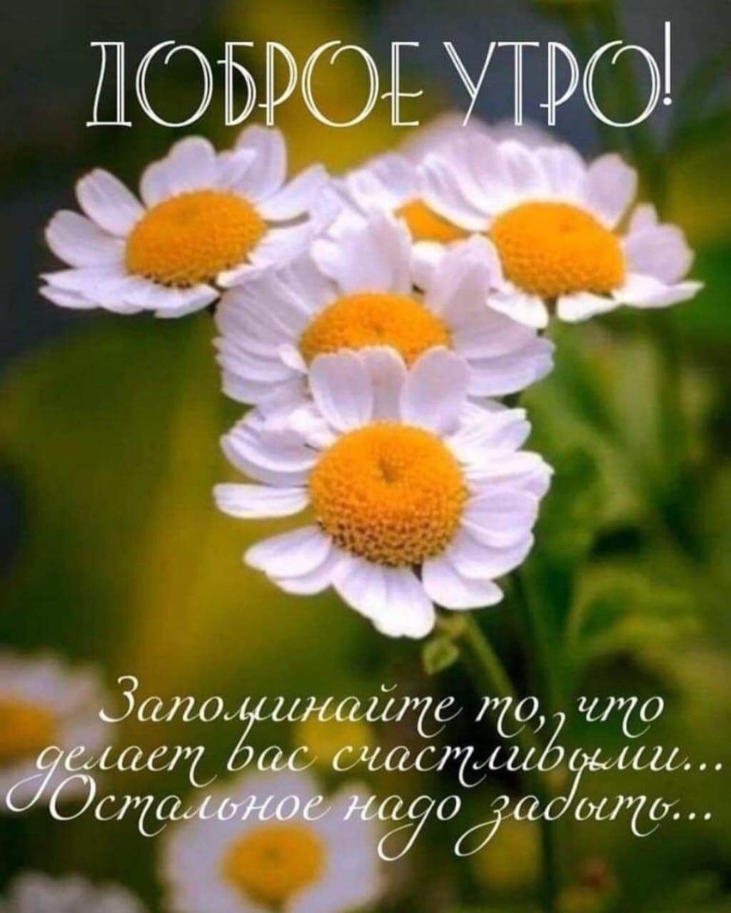 аты шт 421116 110 1470 гв часрдсаёіыш спд _ ддт гда А