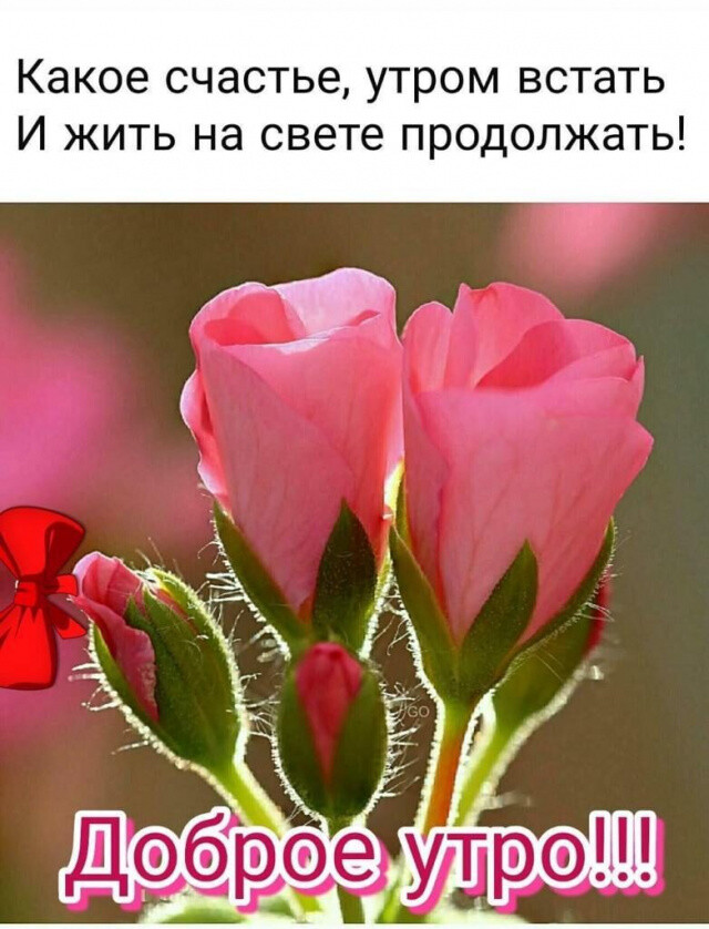 Какое счастье утром встать И жить на свете продолжать