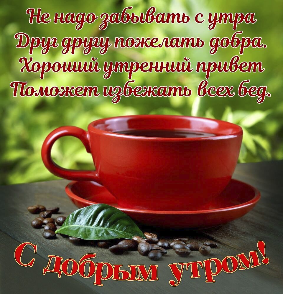 дд _ _ Р 919