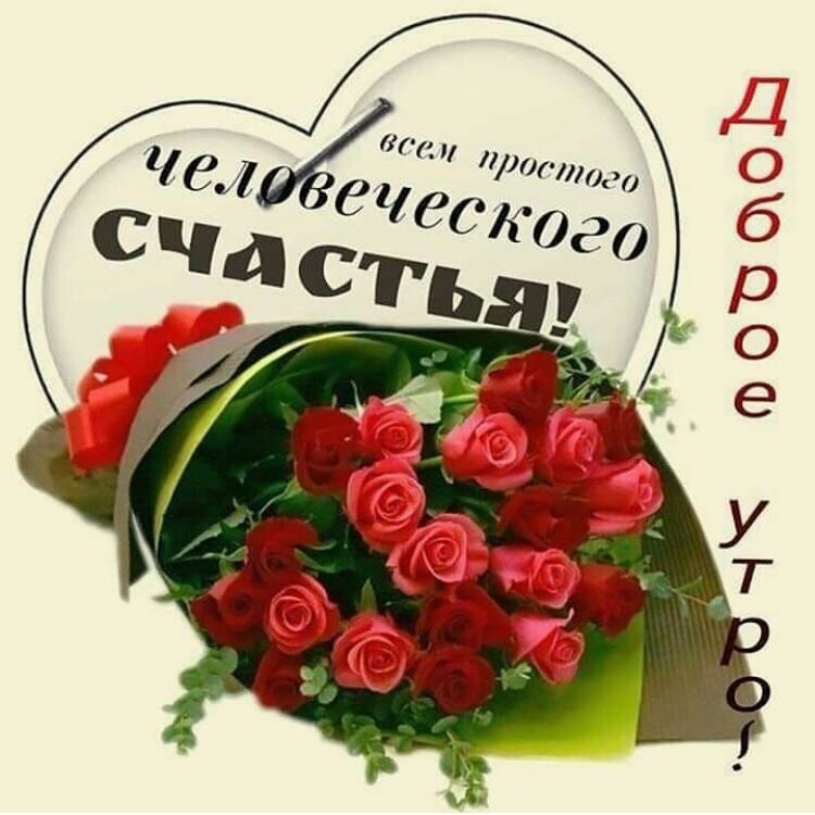 Ч гв ов соіц