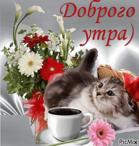 РісМіХ