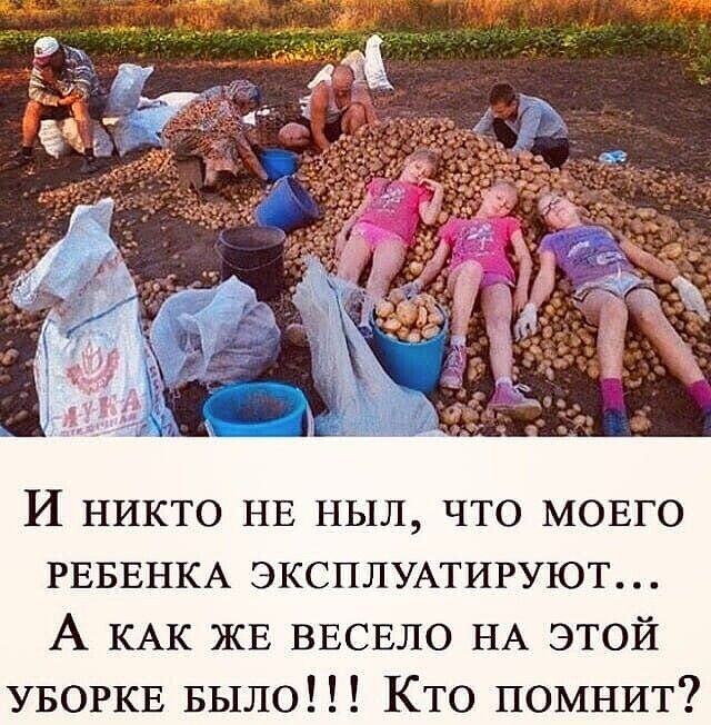 И никто НЕ ныл что МОЕГО РЕБЕНКА ЭКСПЛУАТИРУЮТ А КАК ЖЕ ВЕСЕЛО НА этой УБОРКЕ Было Кто помнит
