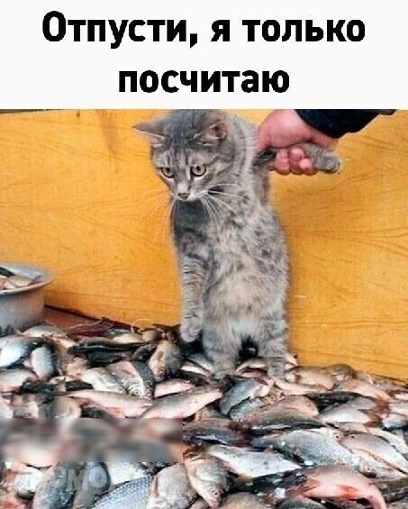 Отпусти я только посчитаю