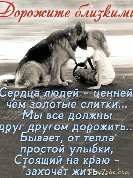_ СеРдЧад39д9и ценней чем залатые спитки2 Мы все должны друг другом дорожить Бывает от тепла про_стой улыбки Сгоящий на краю захочёт жить