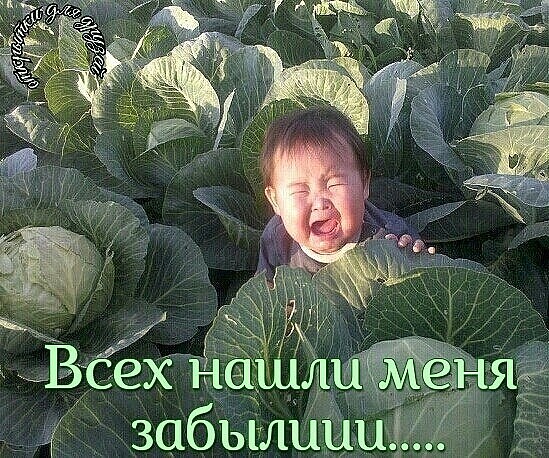 забылииц