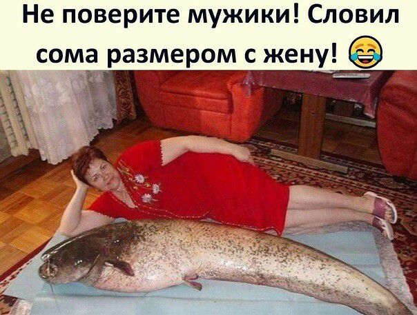 Не поверите мужики Словил сома размером с жену