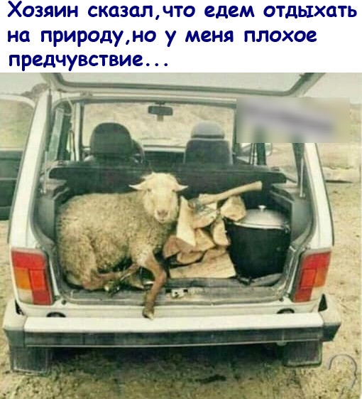 Хозяин сказалчто едем отдыхать на природуно у меня плохое предчувствие