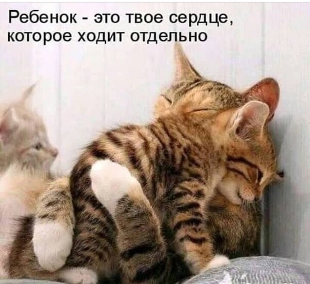 Ребенок это твое сердце которое ходит отдельно