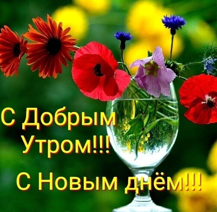 т к ЩРЫМ ДЭГ А