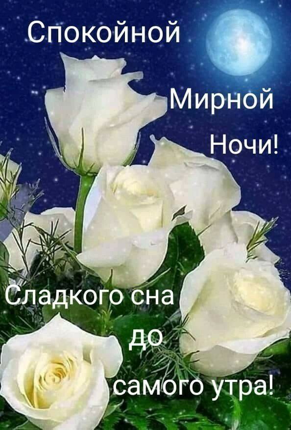 Спокойной 7 _ _адкогр сна сам76го утра