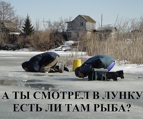 А ы СМОТРЕЗТ В ЛУНКУ ЕСТЬ ЛИ ТАМ РЫБА
