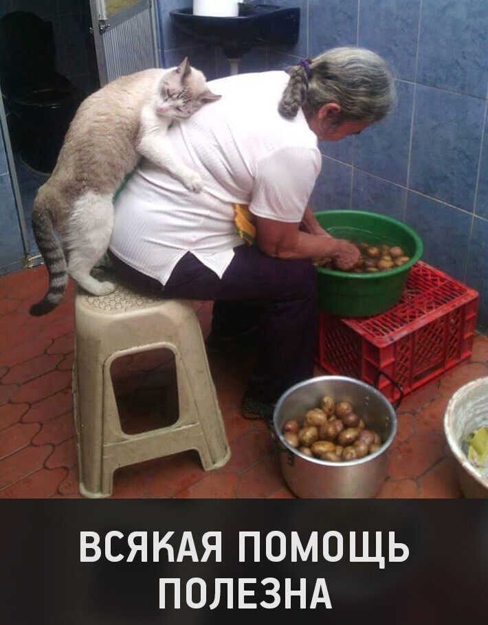 ВСЯКАЯ ПОМОЩЬ ПОЛЕЗНА