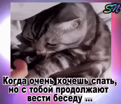 Кёдда одел хочешь спать о_бои продолжают вести беседу
