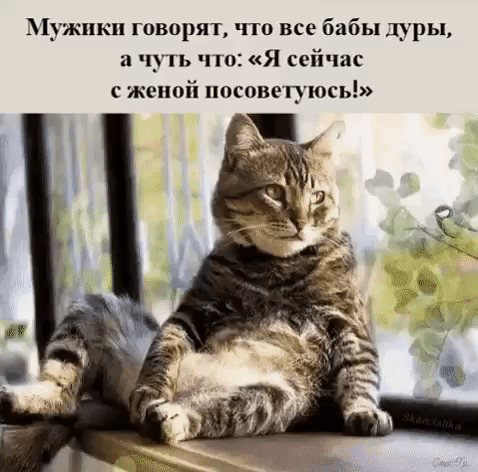 Мужики говорят что все бабы дуры а чуть ч1оЯ сейчас с женой посоветуюсь