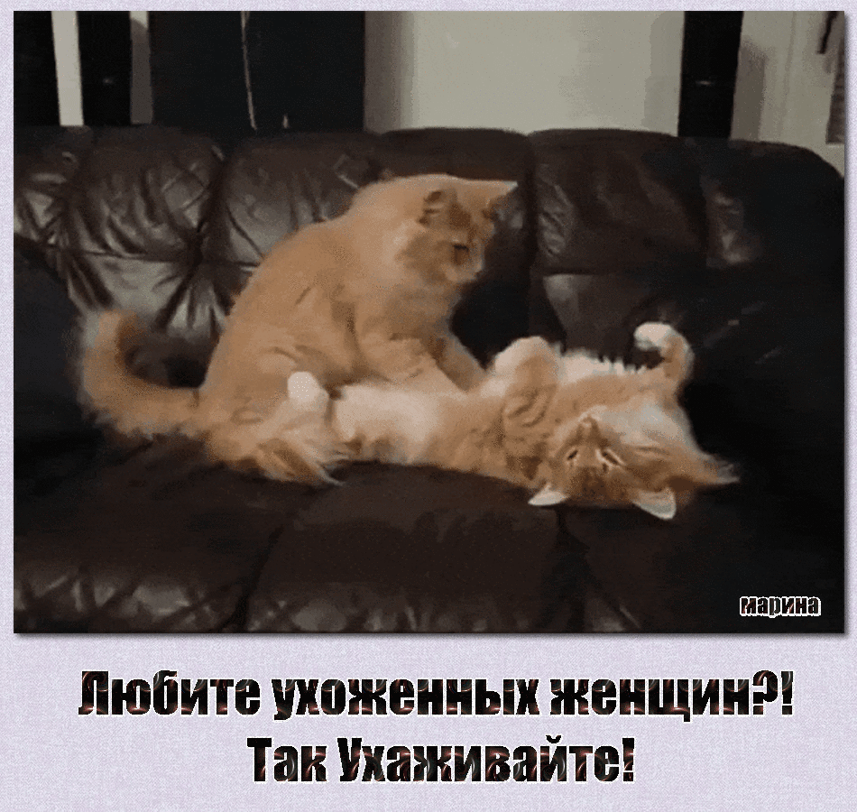 Любите ухоженных женщин Таи Ухаживайте