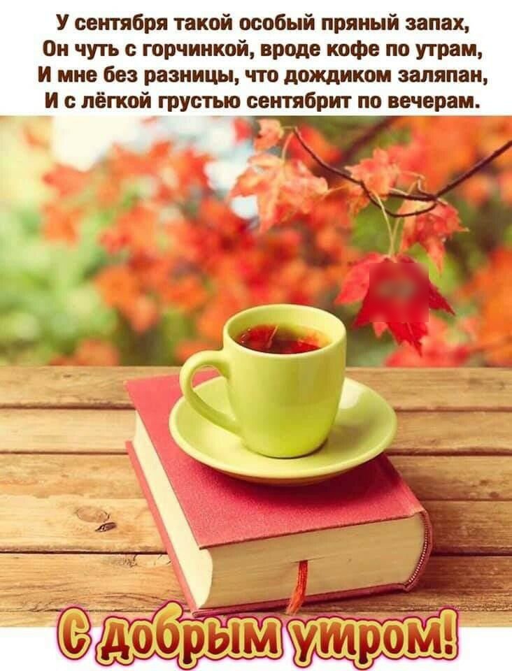 У сентября такой особый пряный запах Он чутъ горчиикой вроде кофе по утрам И мне без разницы что дождиком заляпаи И лёгкой грустью сеитябрит по вечерам