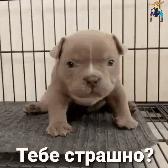 8 Тебе страшней
