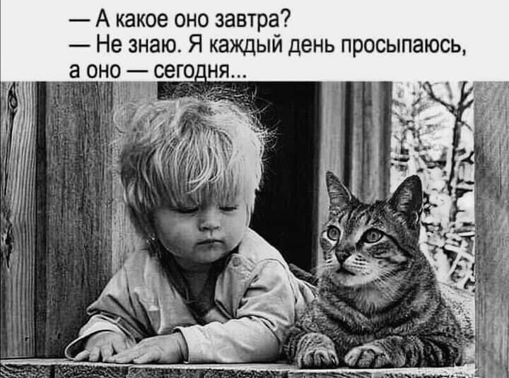 А какое оно завтра Не знаю Я каждый день просыпаюсь