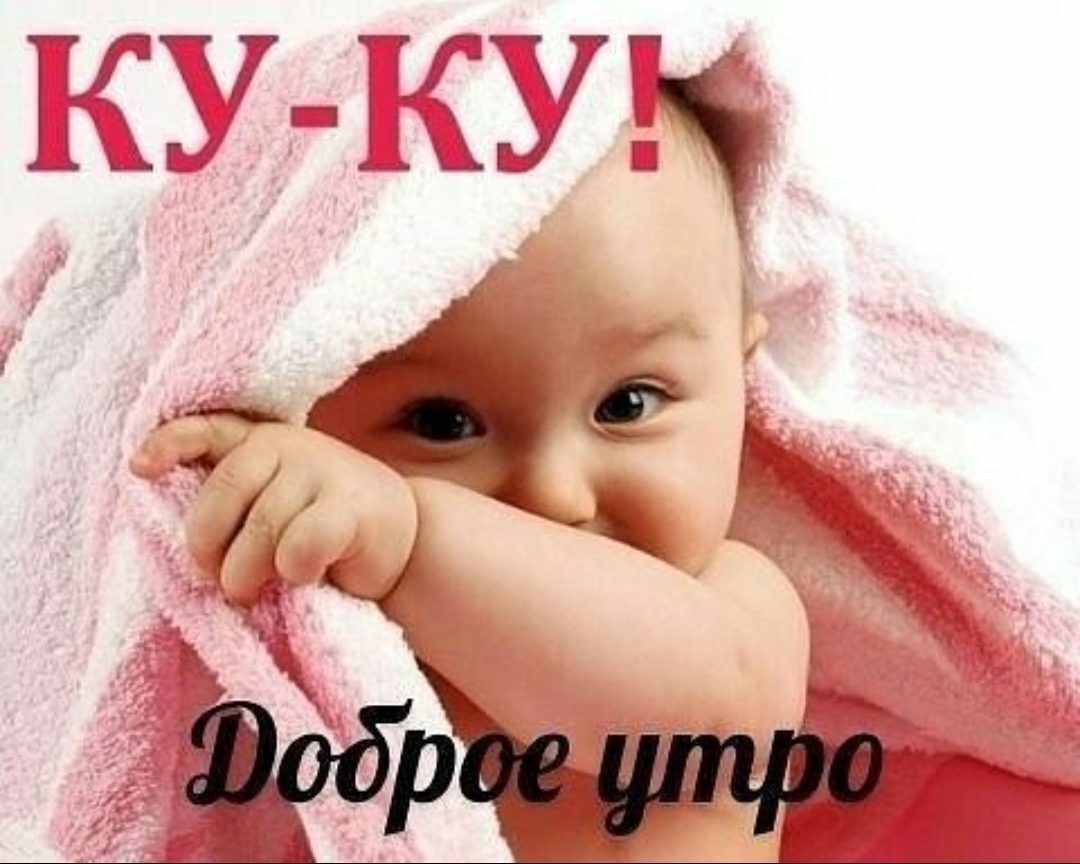 _гт7 377 Г ХГ ЦЫ