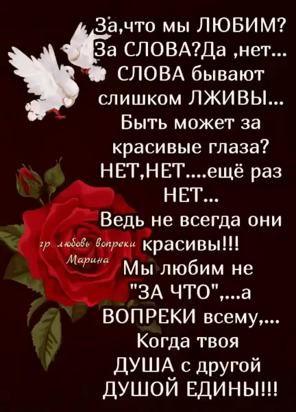 Зёчто мы ЛЮБИМ ёж словмда нет СЛОВА бывают слишком ЛЖИВЫ Быть может за красивые глаза із НЕТНЕТещё раз _ __ НЕТ Ведь не всегда они красивы Мы любим не ЁЗА ЧТОа ВОПРЕКИ всему Когда гвоя ДУША с другой душой вдиныш