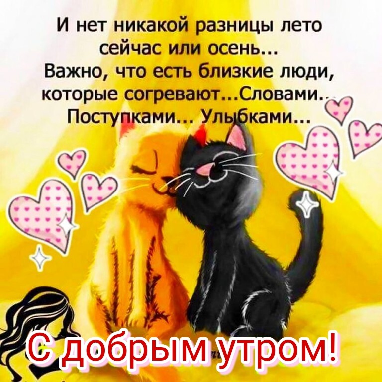 И нет никакой разницы лето сейчас или осень Важно что есть близкие люди которые согреваютСловами __ Ъ _ Кч