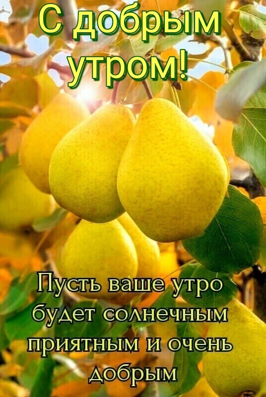 ПуЁтть ваше утро будет СЕОі ЮЧРНЫНМ ПРИЯЪНЫМ ШэчеЕШЬ Аб бр ым ы