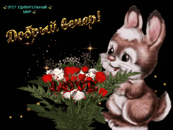 дают Удивительный МИР