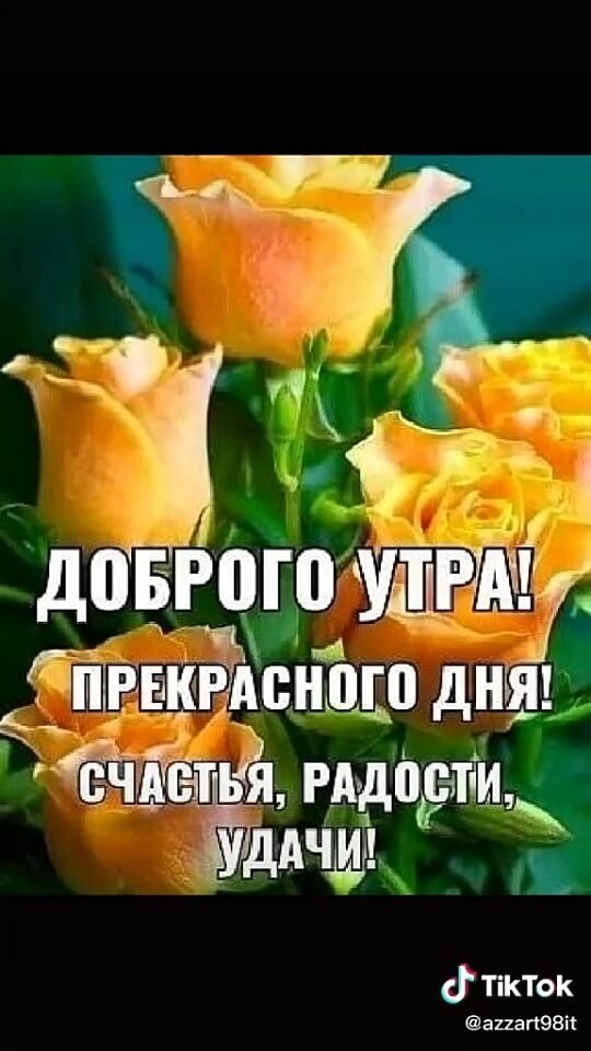 а К дПБРПГП УЦЁА піръкЁАсншп днш ЁЧАПЬРЯ гмпвтіи 1Ёцдчлм д ТіКТок аианЭВіі