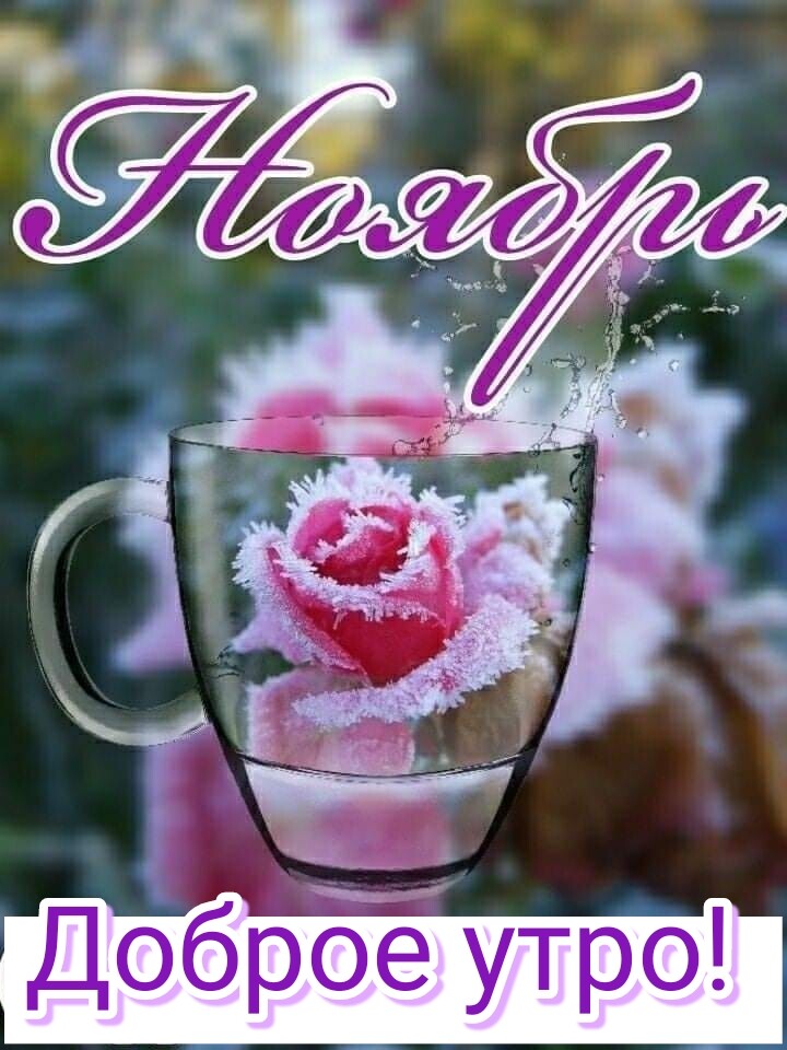 утро