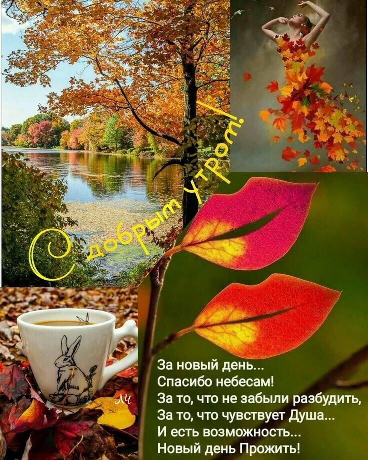 За новый день Спасибо небесам За то что не забыли разбудить За то что чувствует душа и есть возможность Новый день Прожить