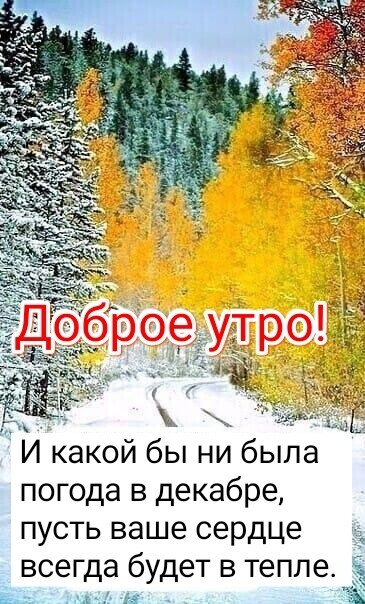И какой бы ни была погода в декабре пусть ваше сердце всегда будет в тепле ь чп