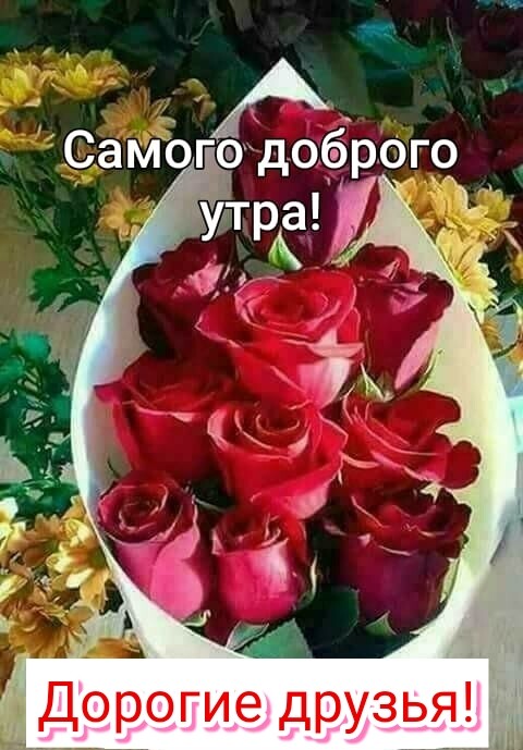 гээдоброгр _ __ ТРЁ 7 Саміэ Дорогие друзья