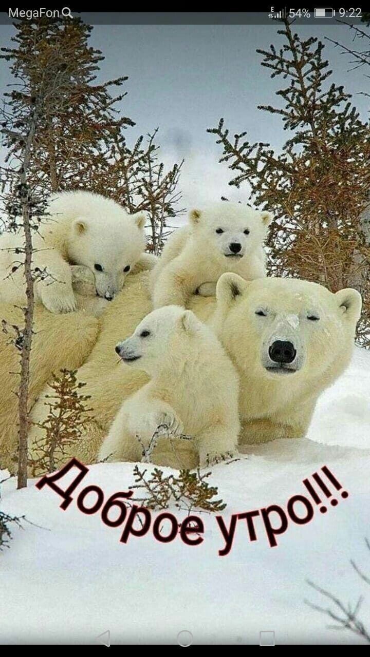 Ме9а Роп СА г 1г 54 Д 922 _
