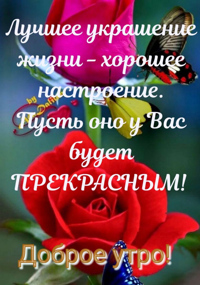 А _ фы ргКРАСНЫМ