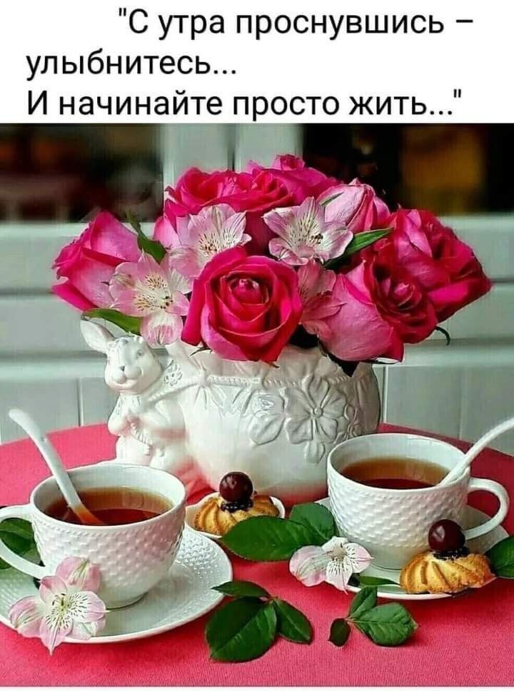 С утра проснувшись улыбнитесь И начинайте просто жить