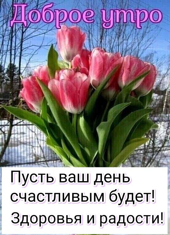 с Пусть ваш день счастливым будет Здоровья и радости