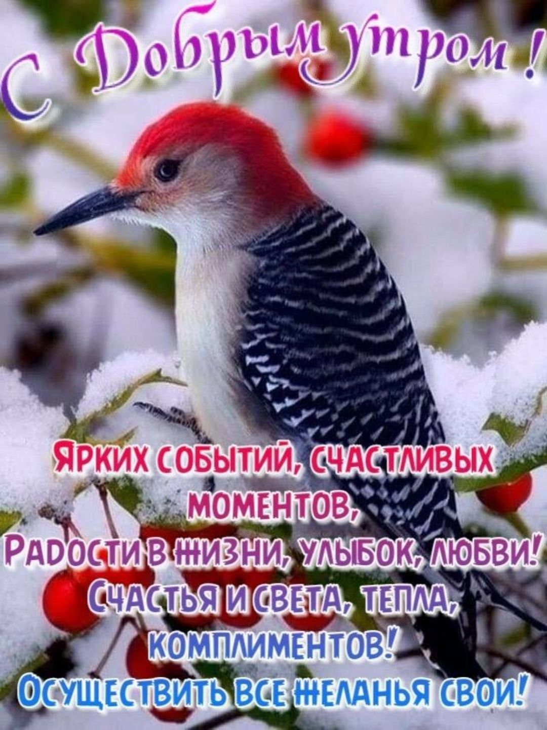 КОМПИМЕНТОВ ФСУЩЕСТВИТЗЬ вжвмнья свои