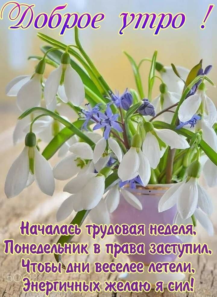Оброе утро днидвеседее АеТёАИ _кги дяіеидгі