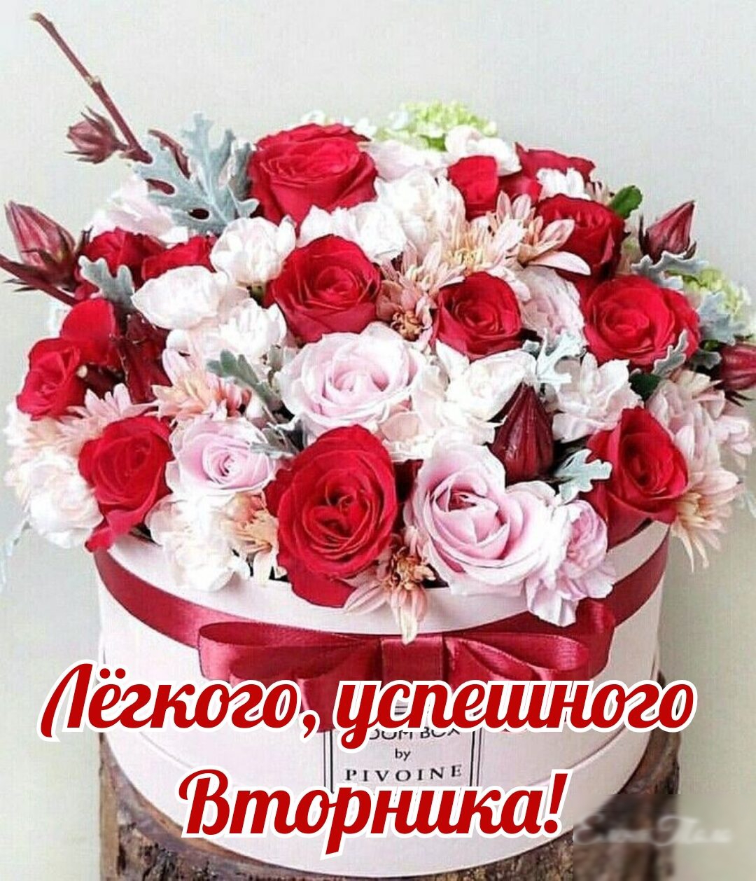 шёд щжшто ит ап оп _ Л до 07 в