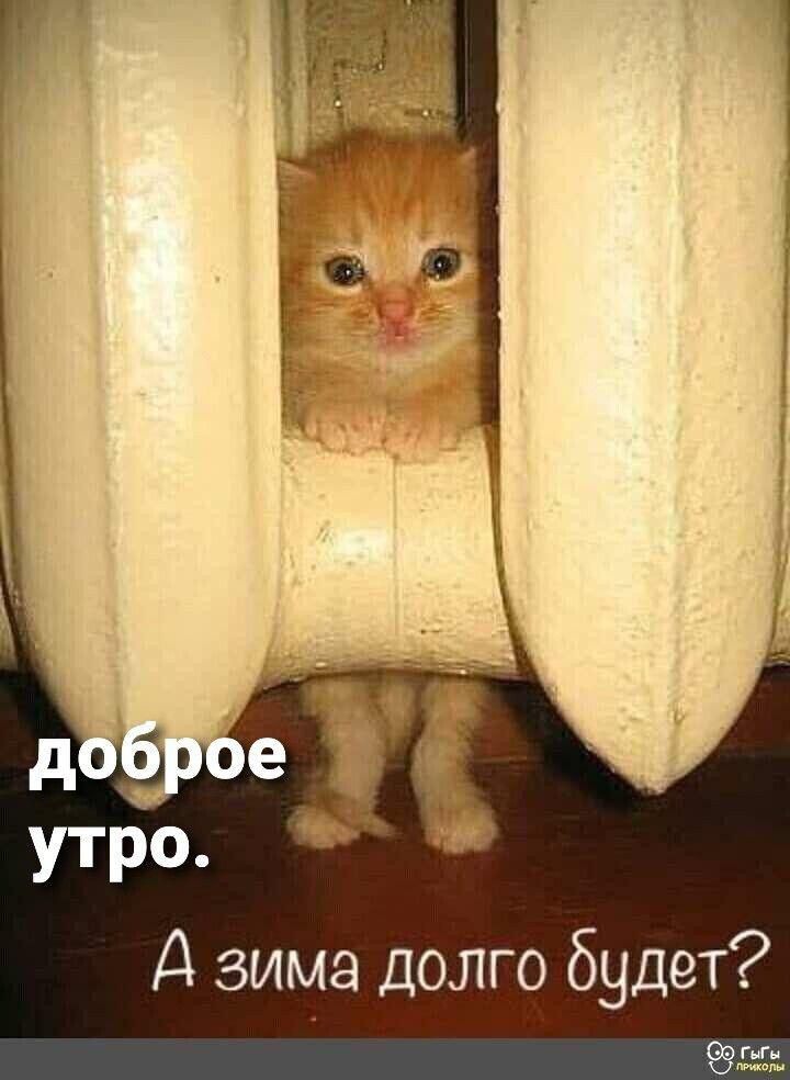 Д зима долго будет Г ыГн твт
