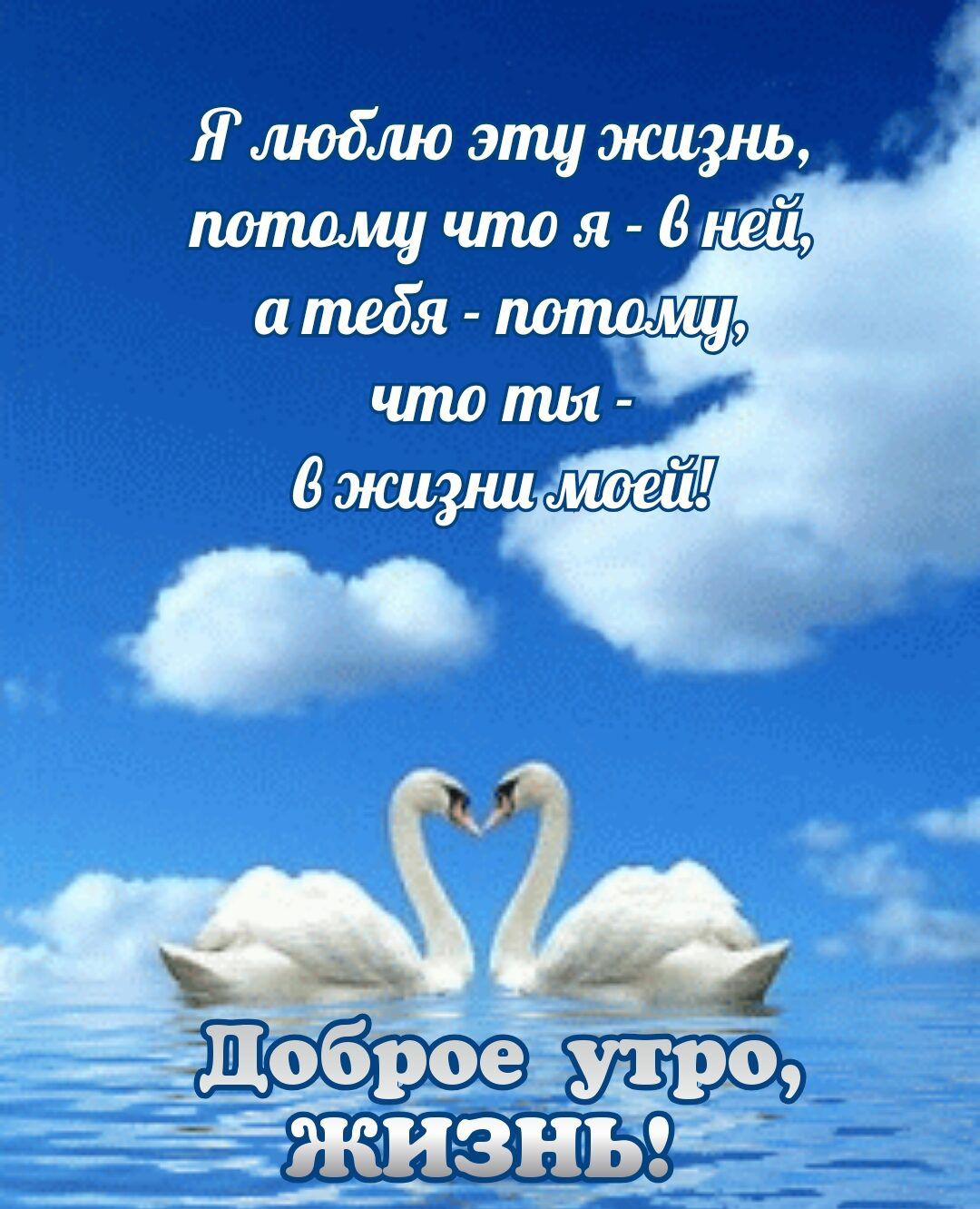 Я любио эту жиуш