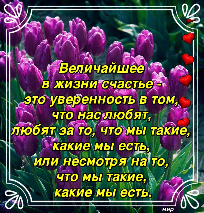 К У В ёрданаишее ч ть э жвиэнигс ас е_ цоуведэнностьв том чтоэна асідюбЯп 596 ТЪа Зтдучтодмьч так_и е каки емыесть А дили несмОтряна то ам чтомьнтаі6иеі какие мы есть 5
